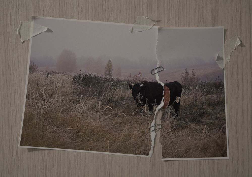 Фотография автора Виктор Кириллов