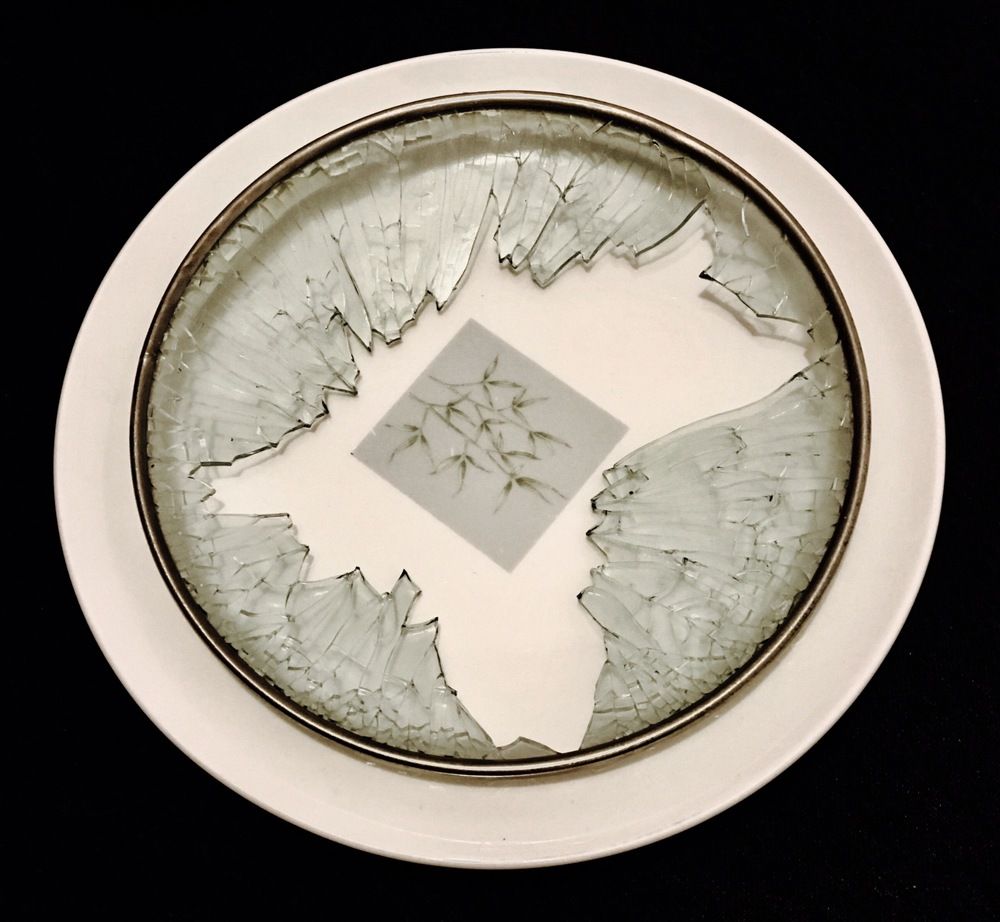 Photograph by Елена Ким