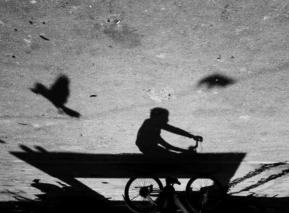 Photograph by Md Sadman Faruque