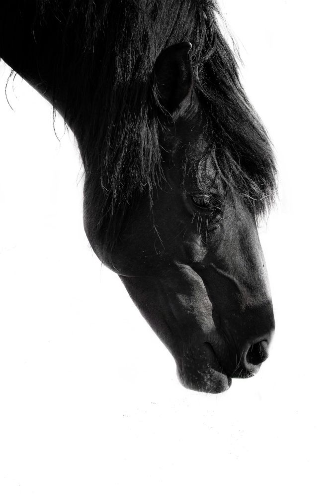 Photograph by Haya Al Nafisi