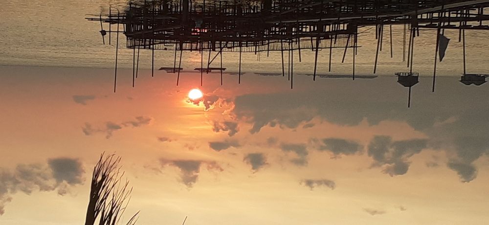 Photo #5861728