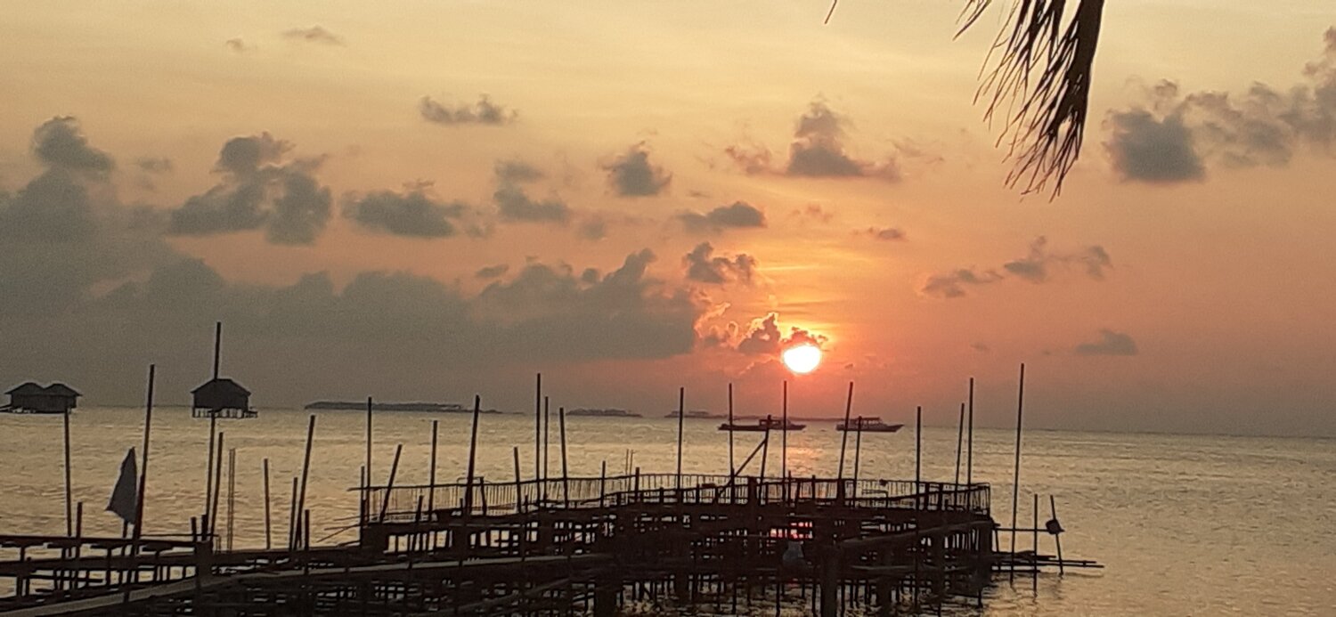 Photo #5861728