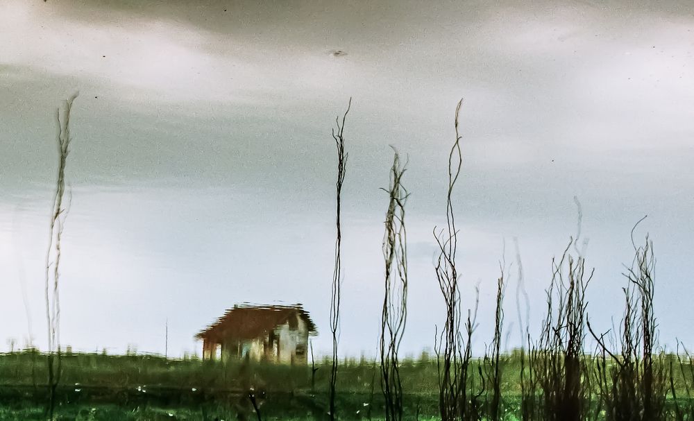 Photograph by Partho Kundu