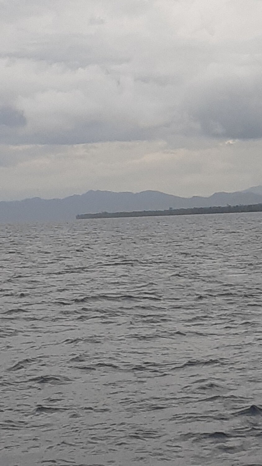 Photo #5861773