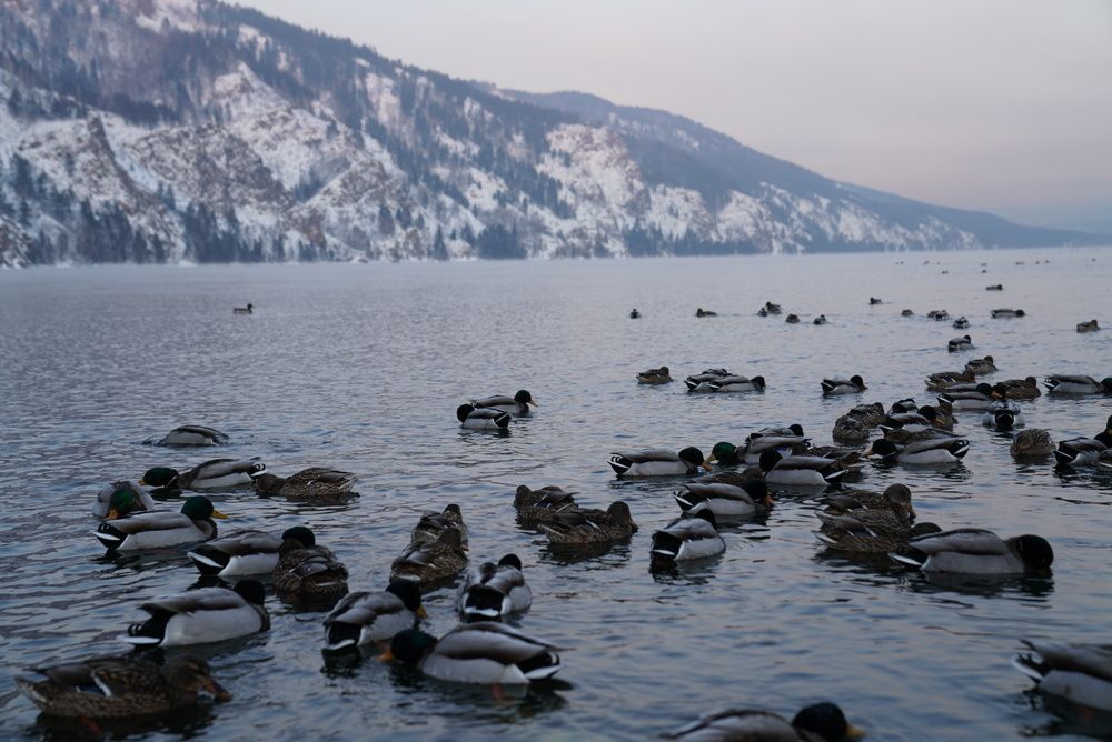 Photograph by Дмитрий