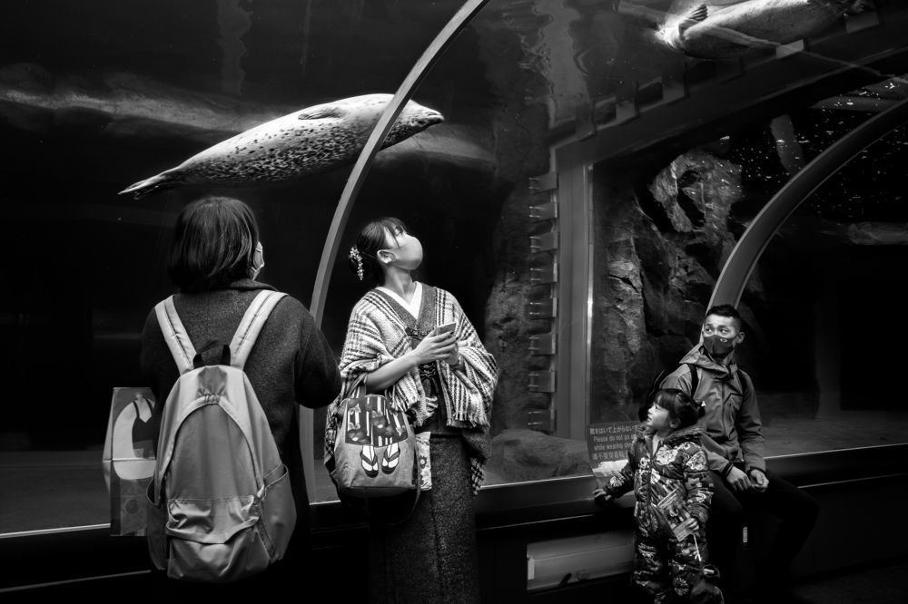 Photograph by W Shan