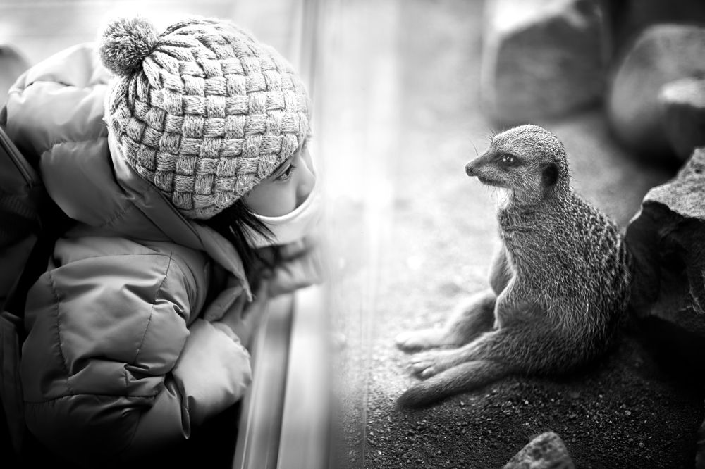 Photograph by W Shan