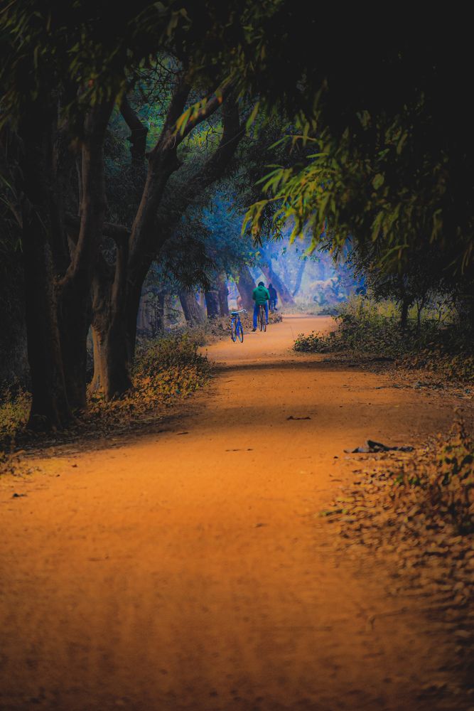 Фотография автора DALUI AMIT KUMAR