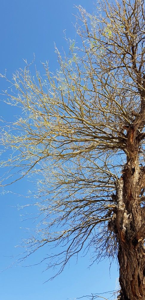 Photograph by REGINA DALLE GRAVE SCHMITT