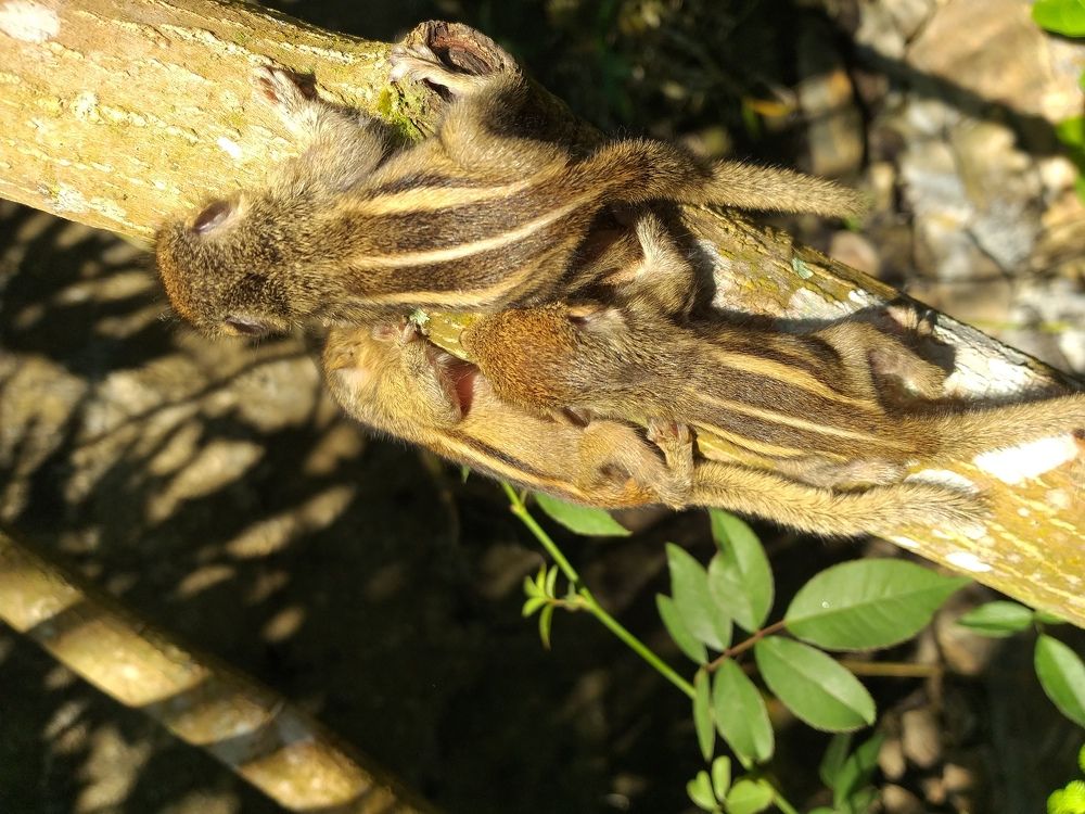 Photo #5861905