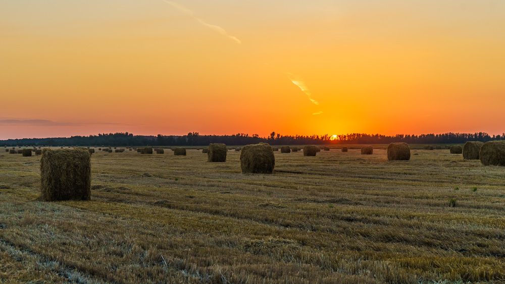 Скоро осень.