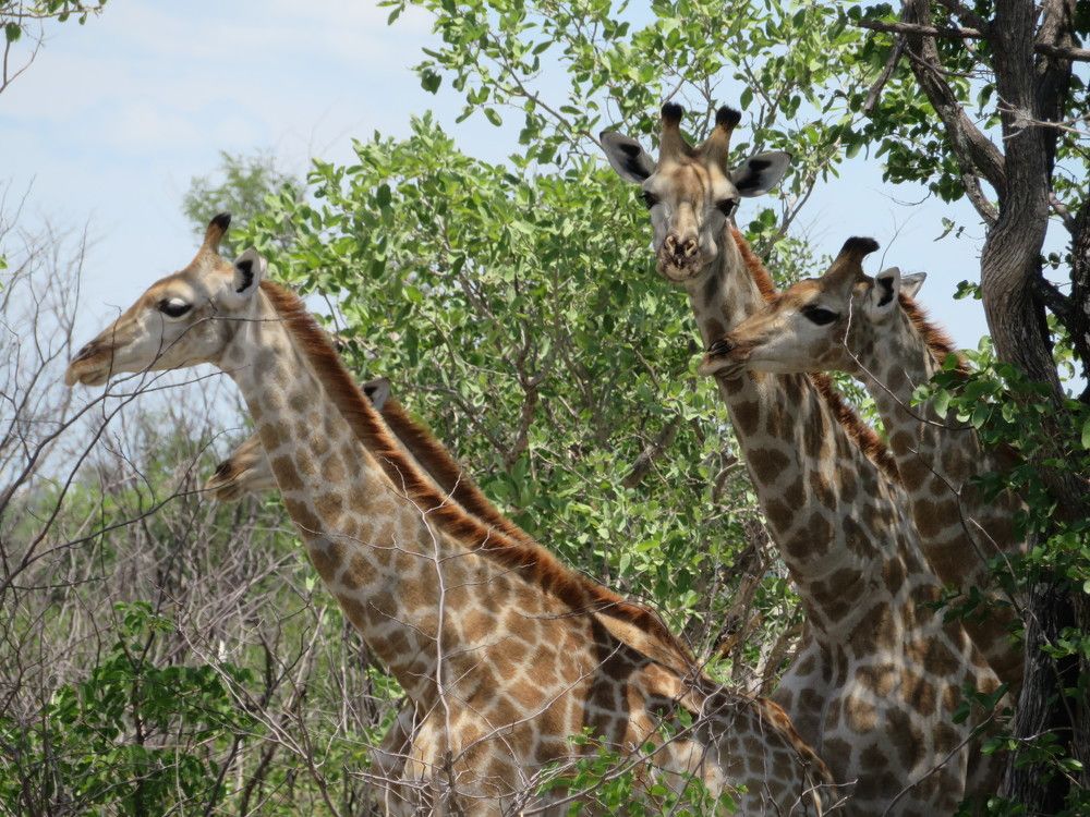 Photograph by Elena Vernikovskaya