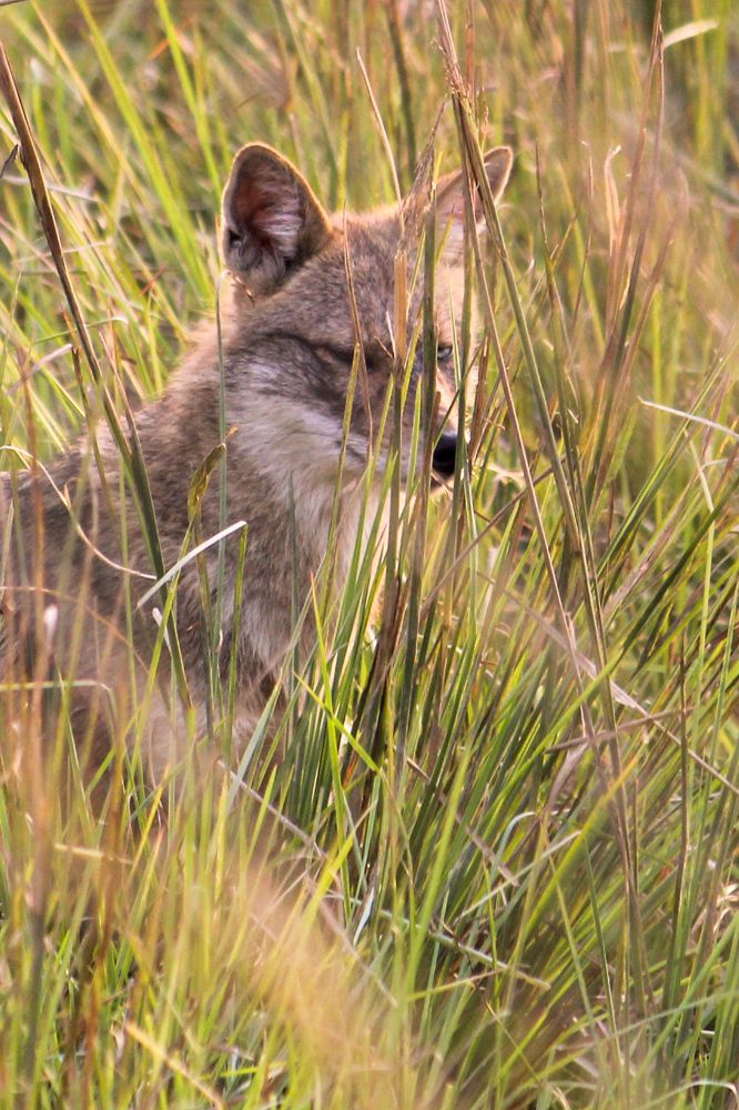 Photograph by Afzalkhan Khan