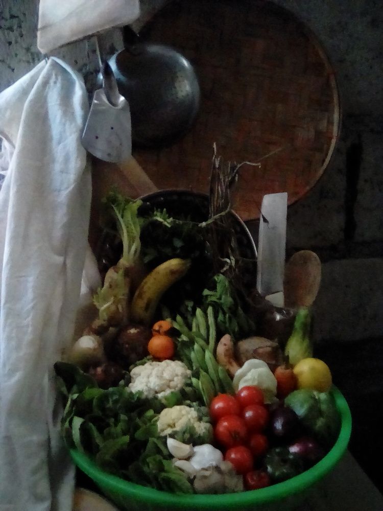 FOOD STOCK FOR COVID-19 PANDEMIC