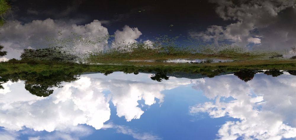 Photograph by Andrea Alcalá