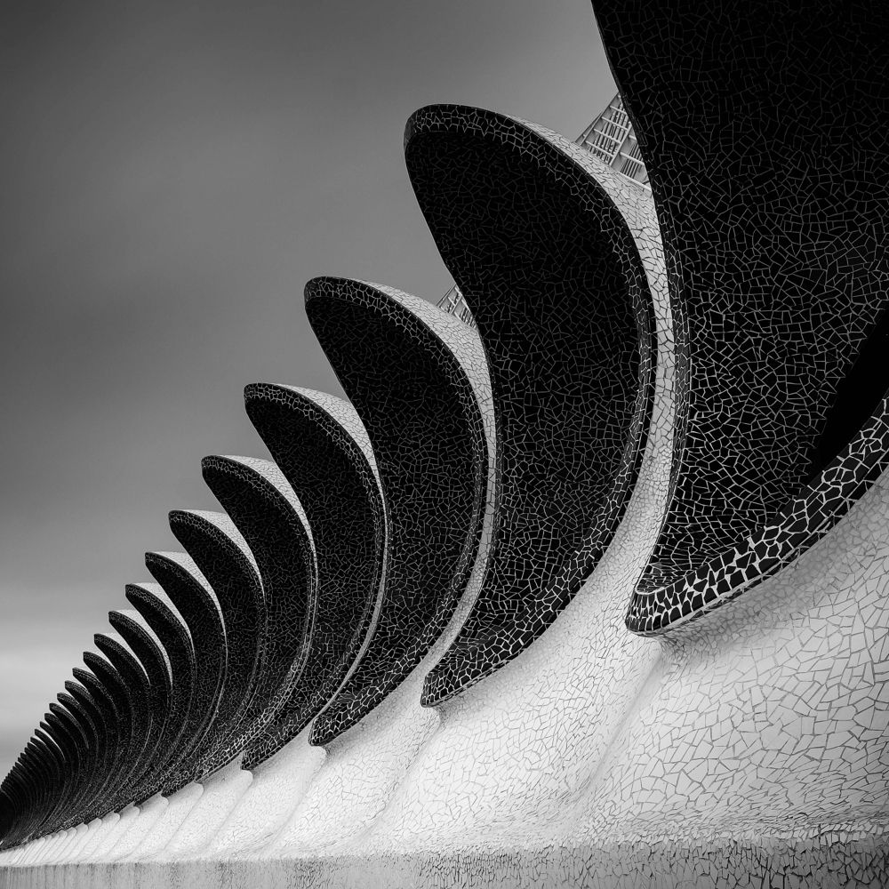 Фотография автора soo mui loh