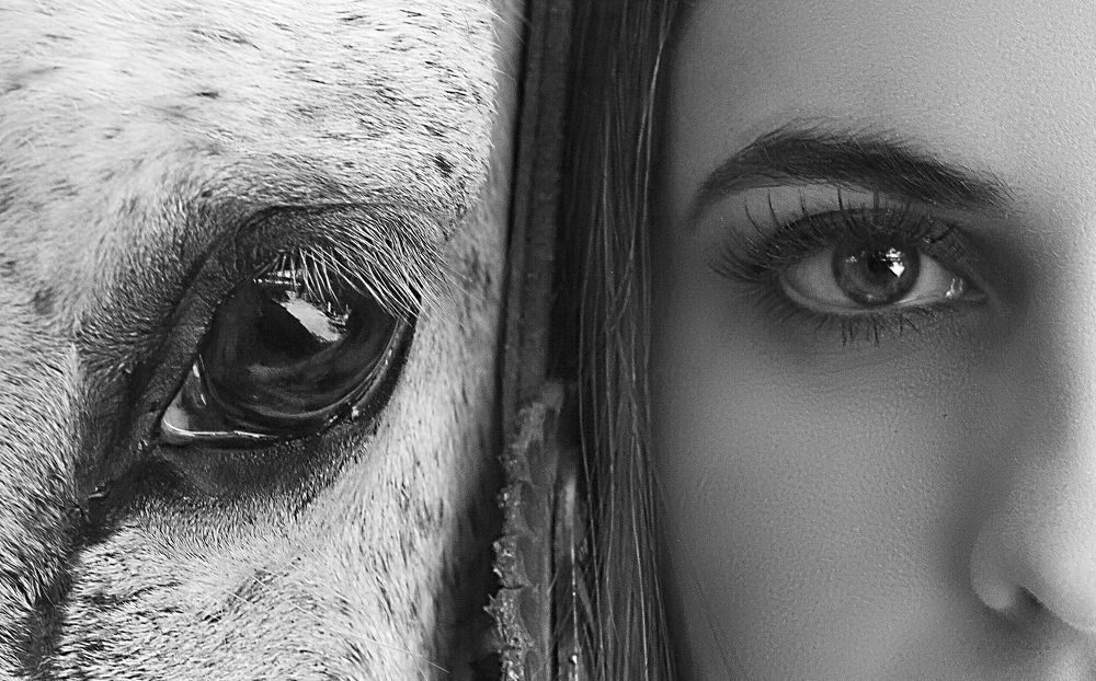 Photograph by Victoria Castellanos