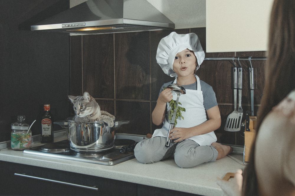 Суп с котом