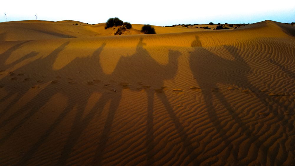 Photograph by Raj Avhad