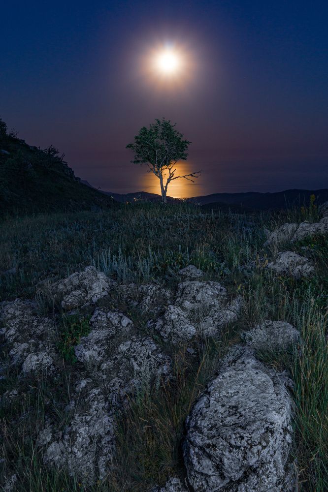 Photograph by Андрей Кривцов