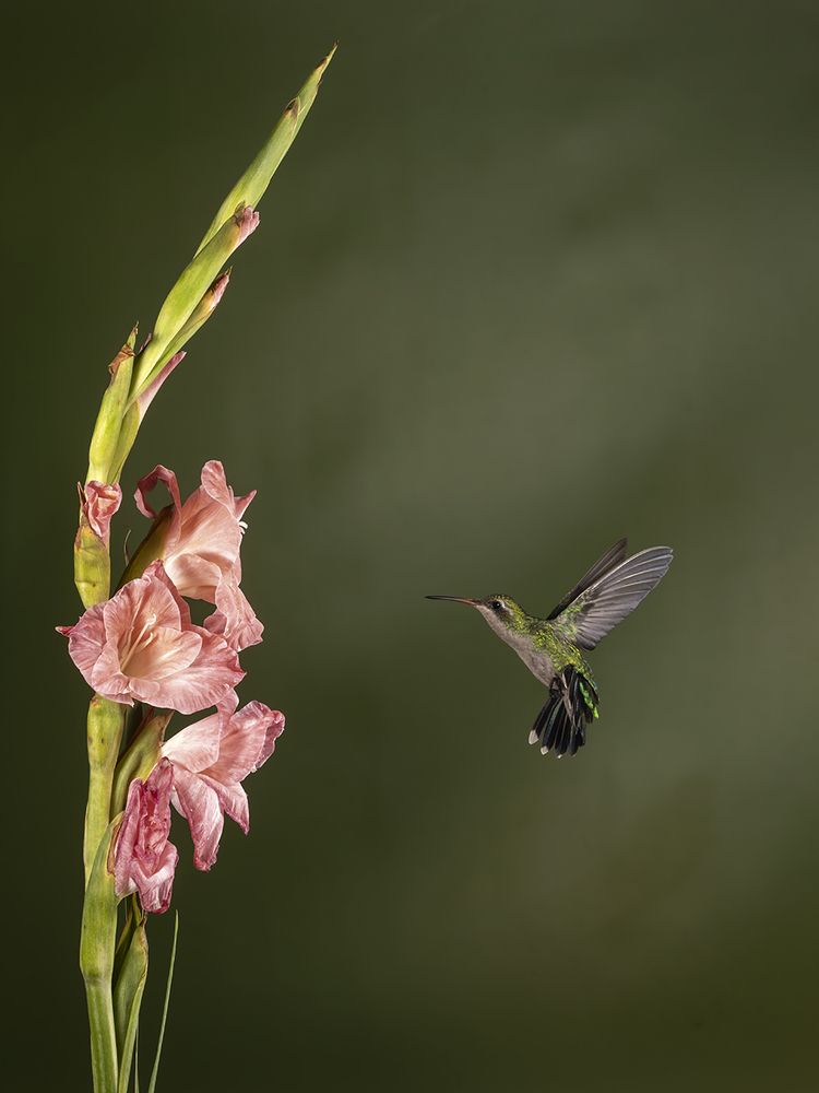 Photograph by Esteban Argerich