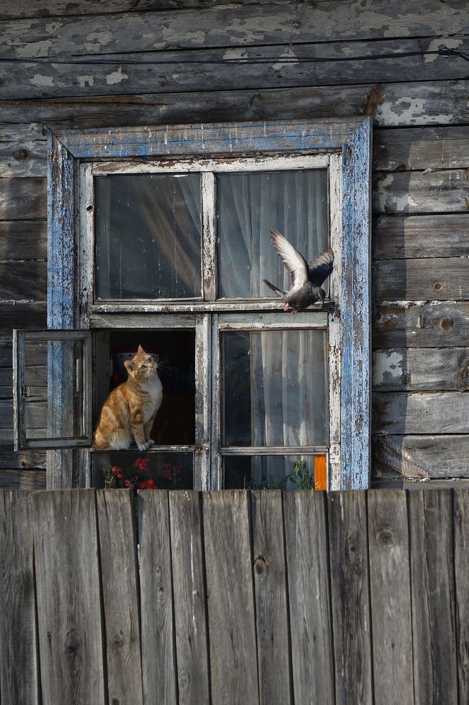 Photograph by Сергей Флоренцев