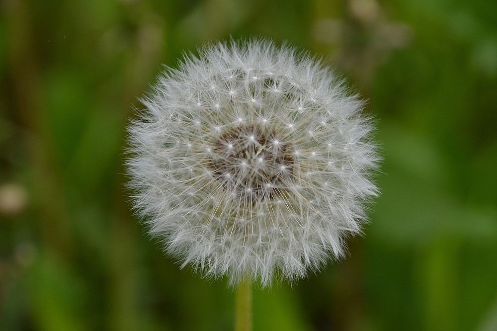 Photograph by Владислав Завальнюк