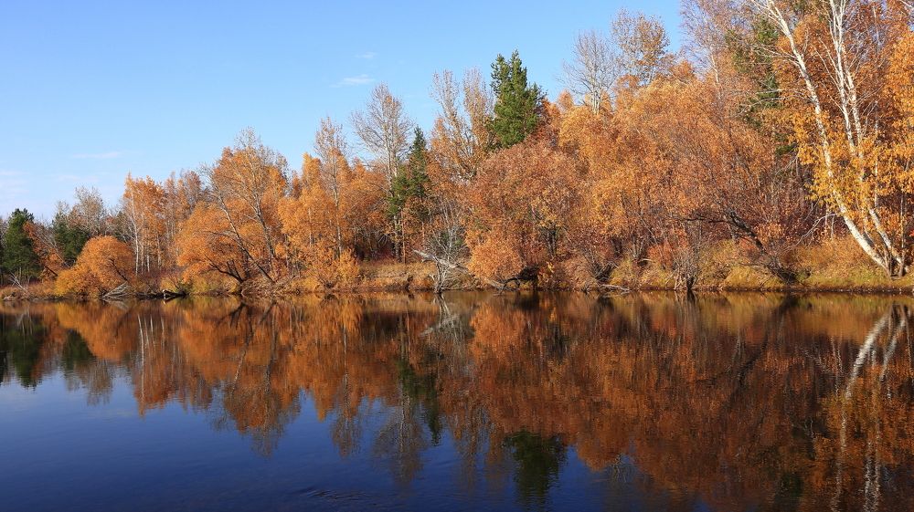 Осень золотая