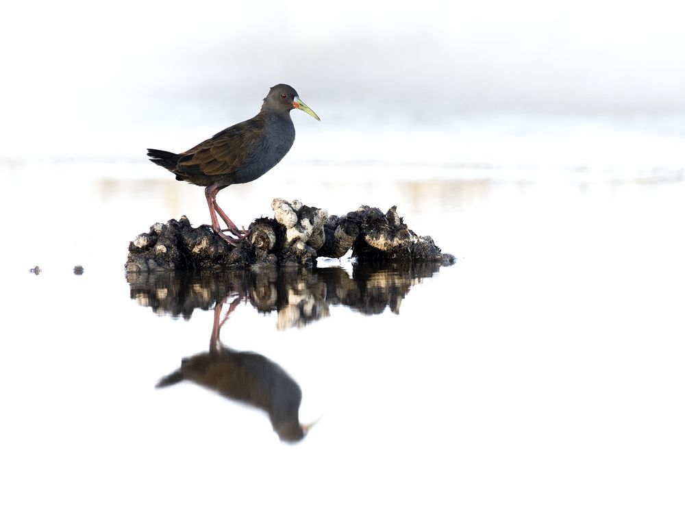 Photograph by Esteban Argerich