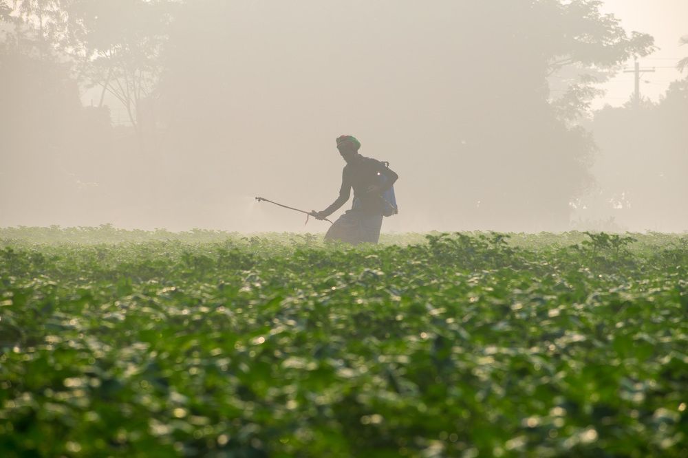 Photograph by Sheikh Mohammad Fahim