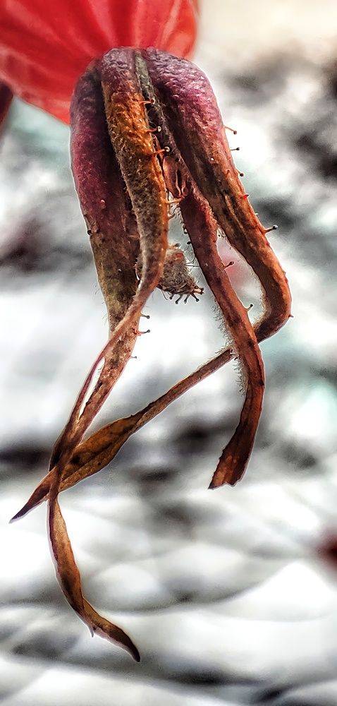 Photograph by Эдуард Саитгалеев