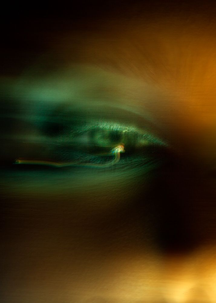 Фотография автора Diana Shender