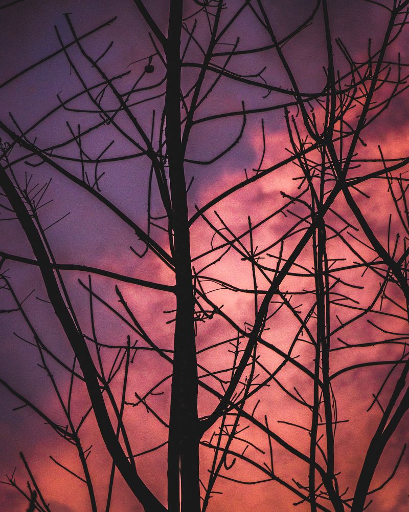 Photograph by Thilina Jayathilaka