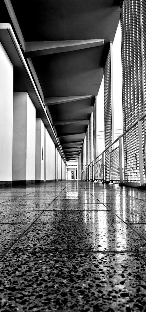 Photograph by Nathaniel Katanha
