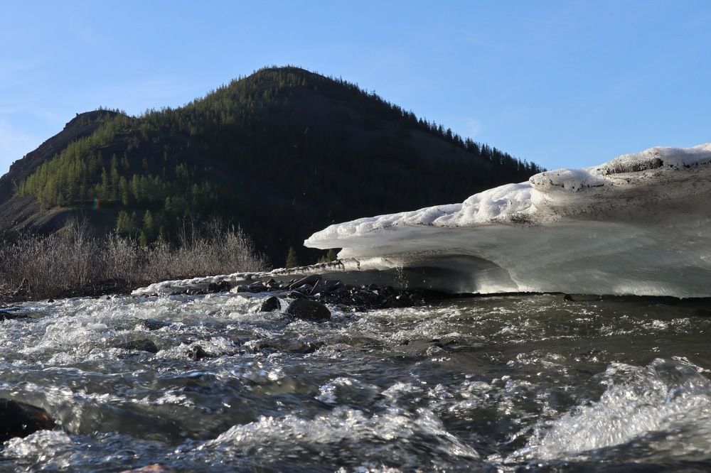 Весна идет, весне дорогу