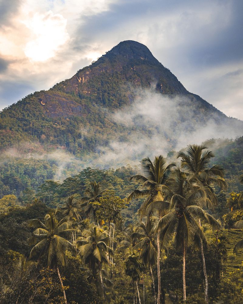 Photograph by Thilina Jayathilaka