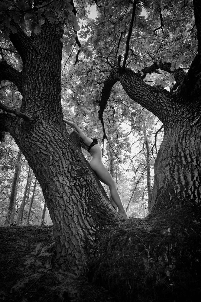 Photograph by Константин Скоморох