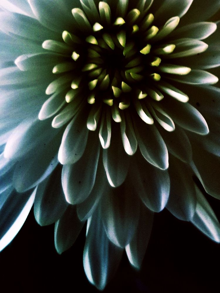 Photograph by Nikki May