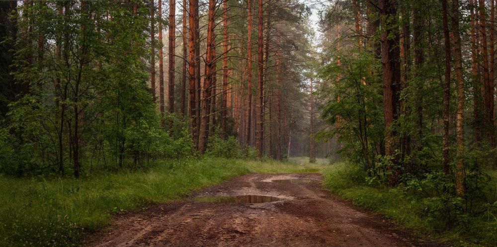 Photograph by Дмитрий Алексеев