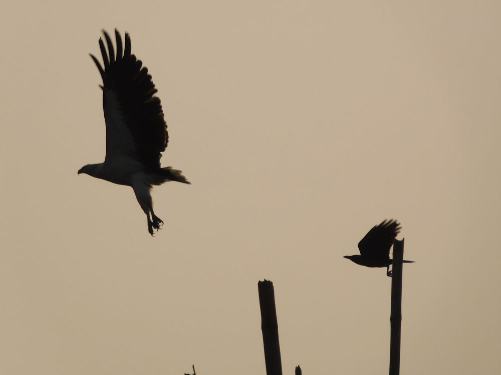 Photograph by Diya Chakraborty