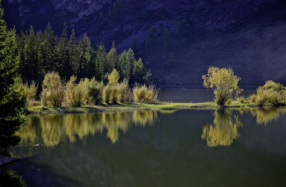 Photograph by Анатолий Стафичук