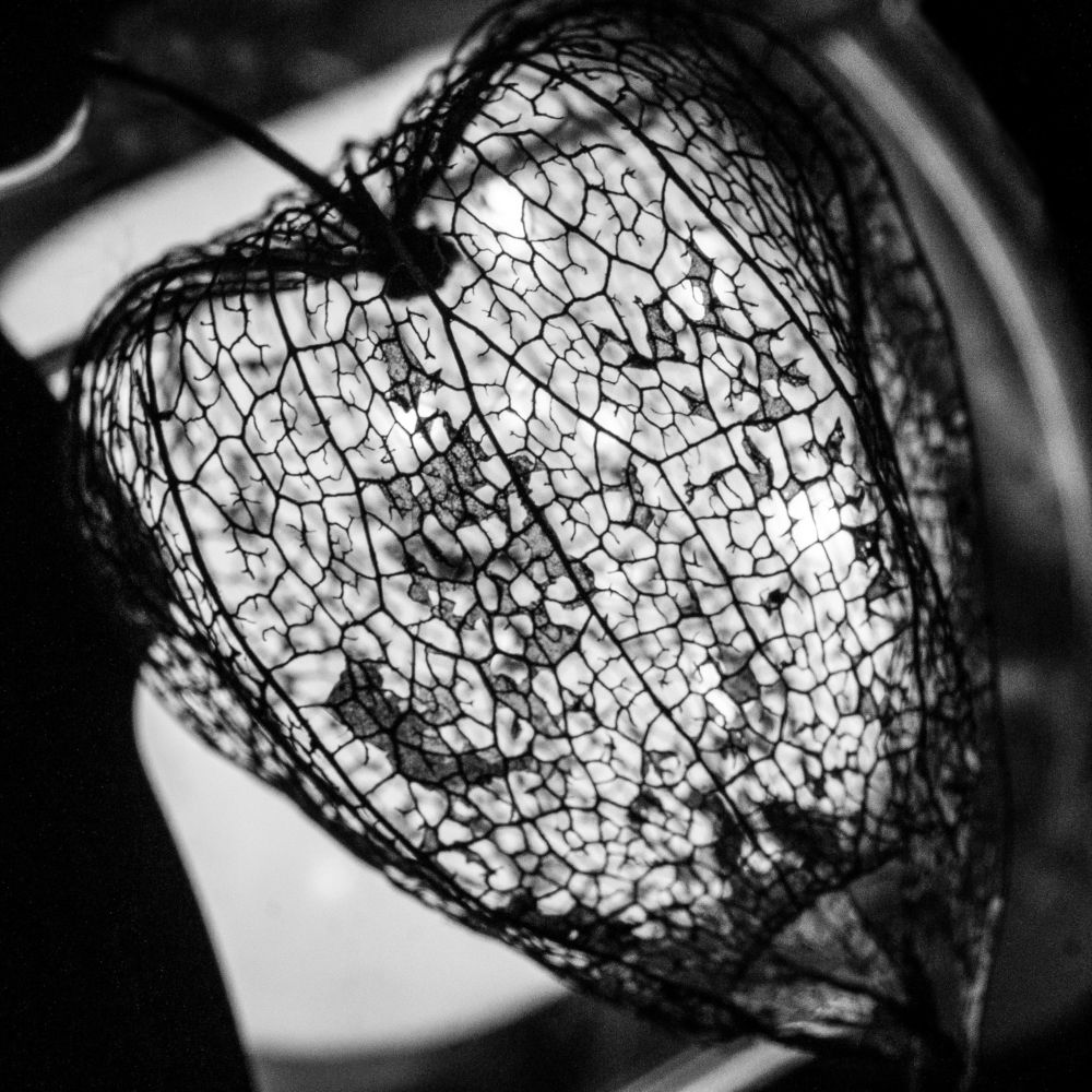 Photograph by Диана Кошелева