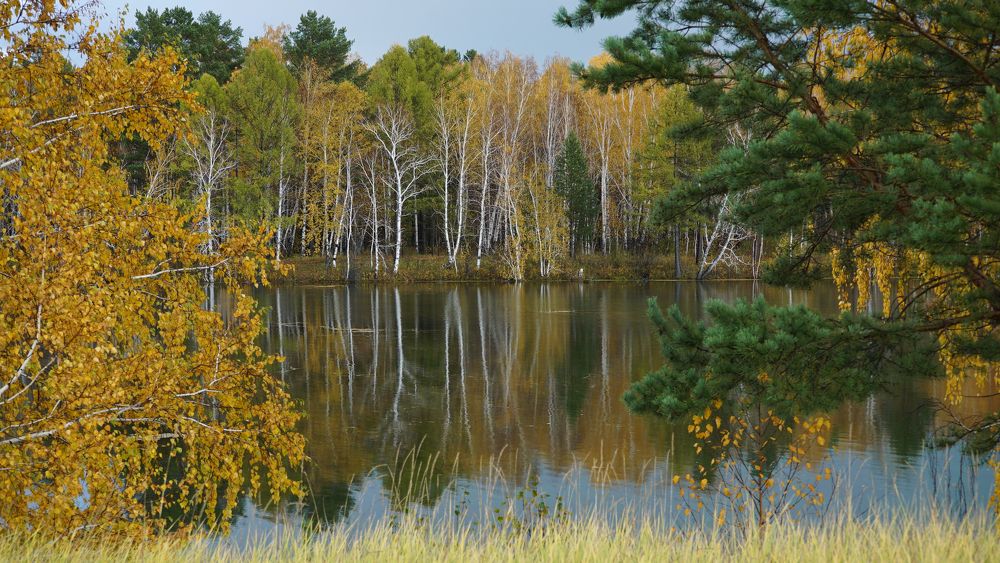 Окно в осень