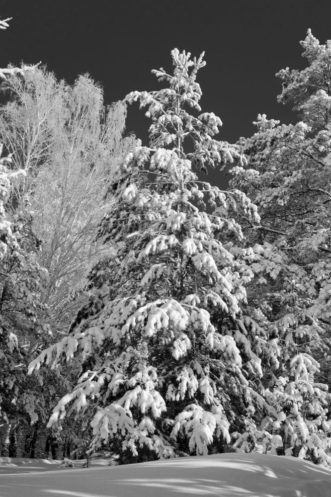 Photograph by Анатолий Стафичук