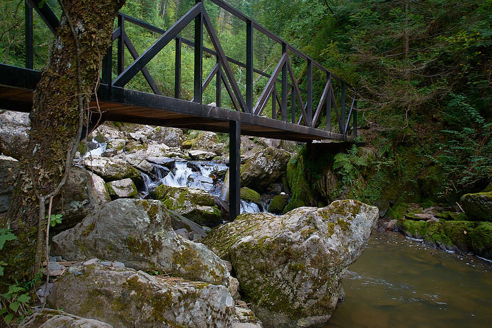 Photograph by Мария Григорьева