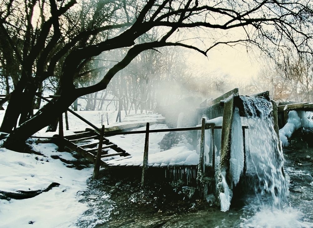 Photograph by Елена Гарибян