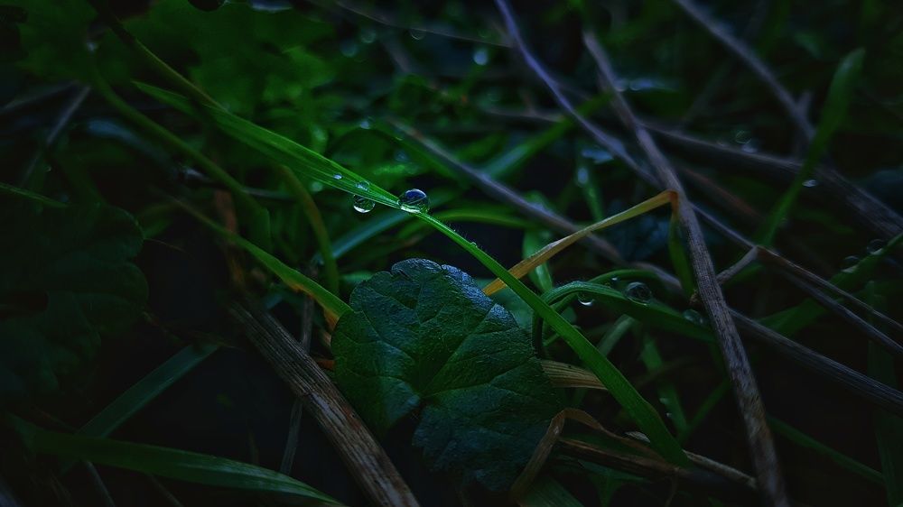 Photograph by Хачик Аджатян