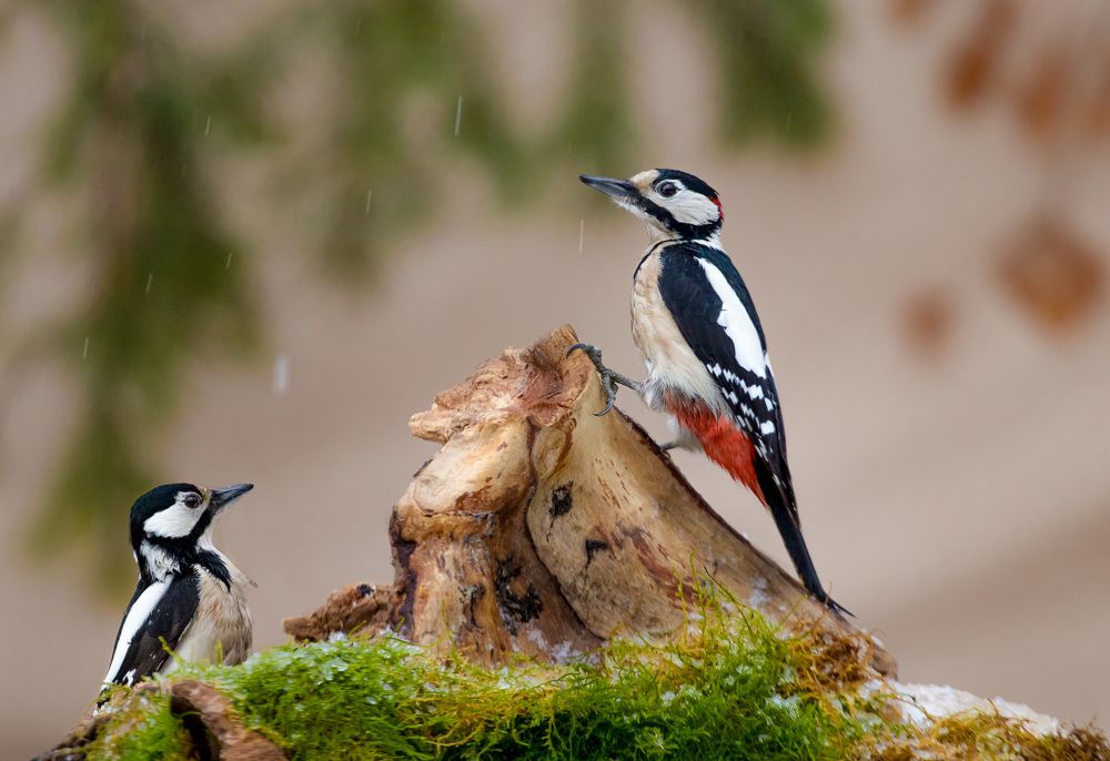 Photograph by Алексей Юденков