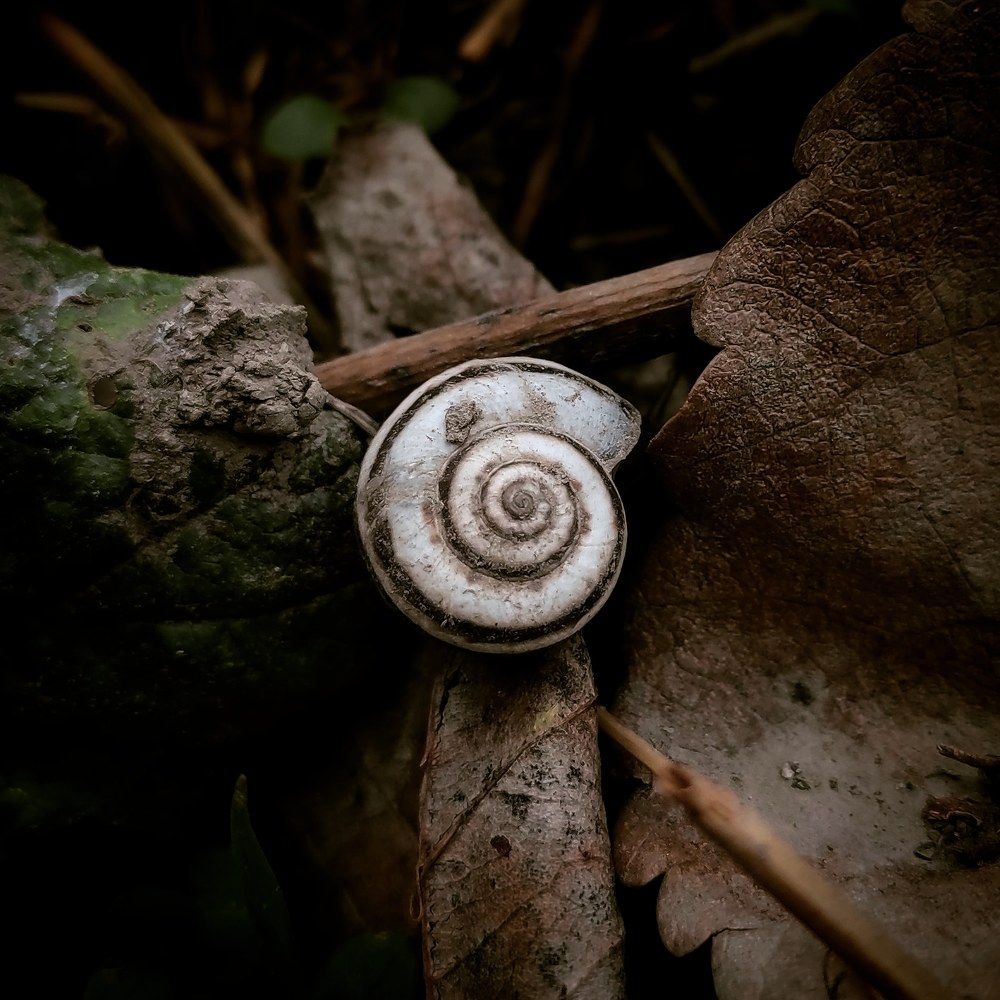 Photograph by Алиса Бескровная