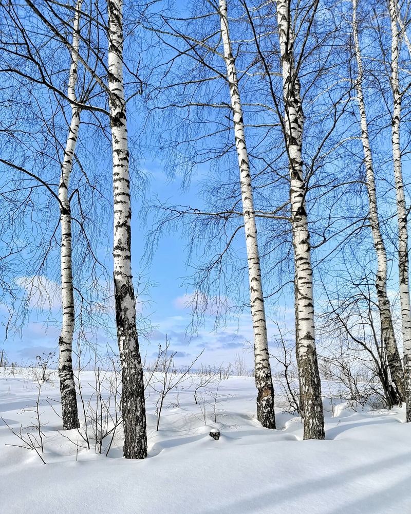 Photograph by Ирина Коновалова